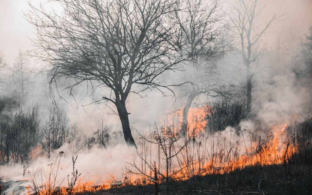 Nettoyage après sinistre dans le Var, remise en état après incendie ou dégât des eaux