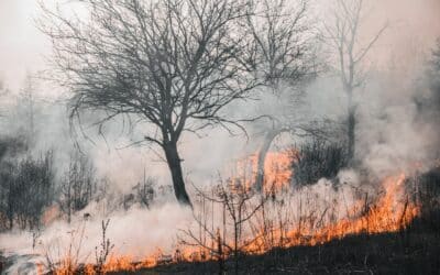 Nettoyage après sinistre dans le Var, remise en état après incendie ou dégât des eaux