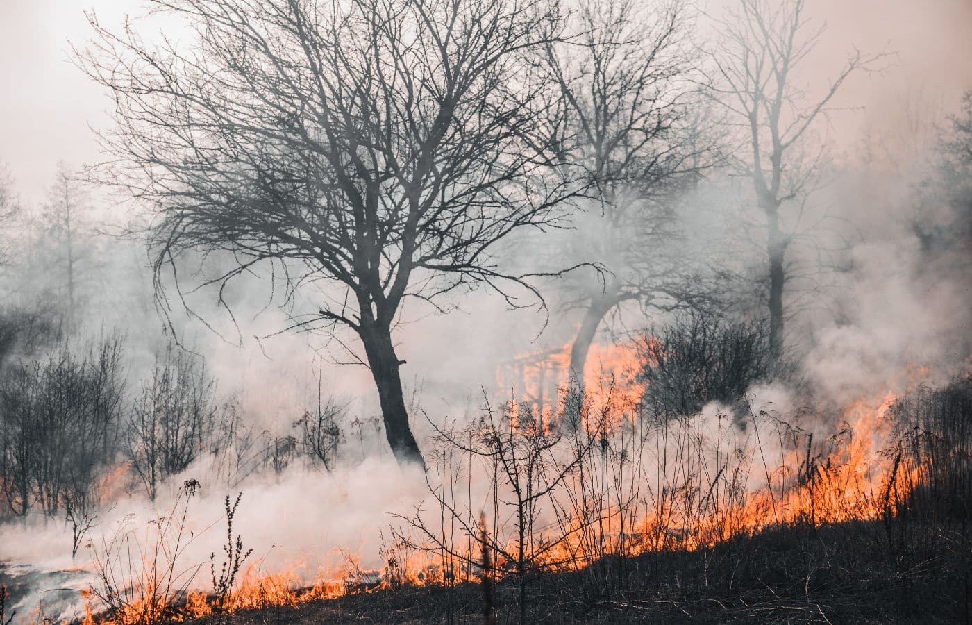 Nettoyage après sinistre dans le Var, remise en état après incendie ou dégât des eaux